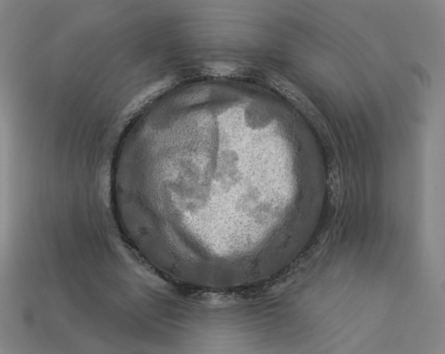 X0000113340442200910061001