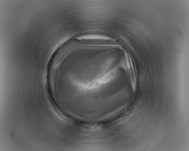 X0000113340443200910061001