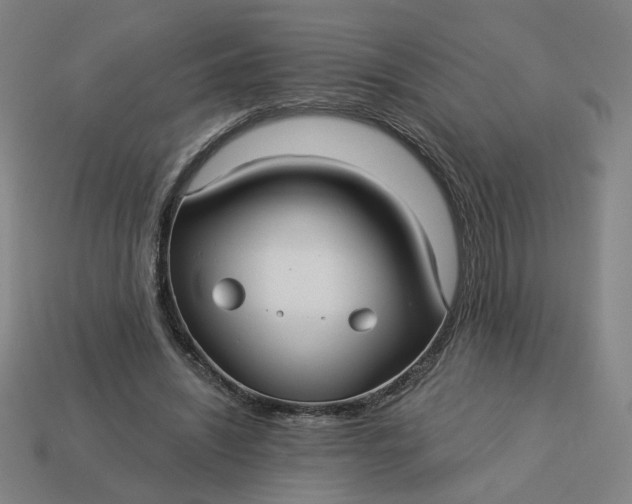 X0000113340444200910061001