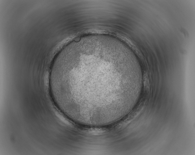 X0000113340445200910061001