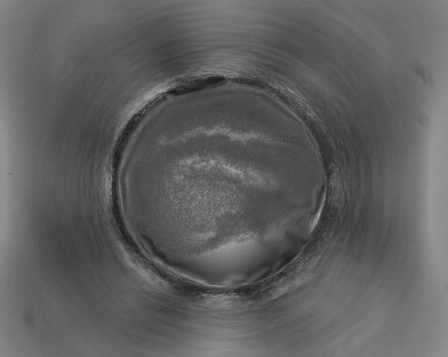 X0000113340446200910061001