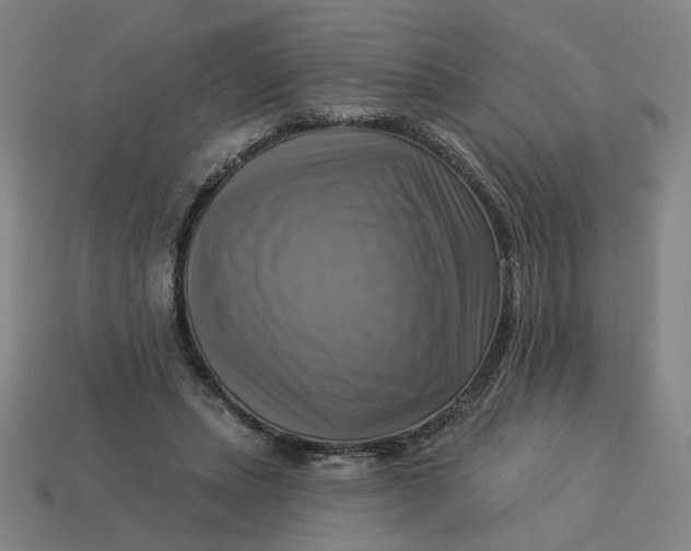 X0000113340447200910061001