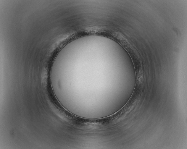 X0000113340448200910061001