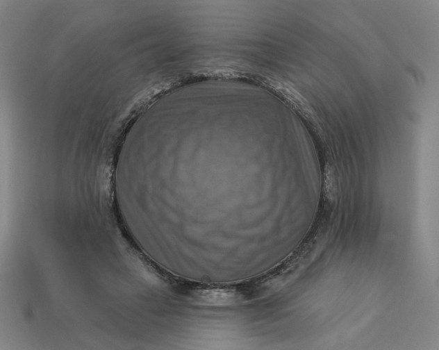 X0000113340449200910061001