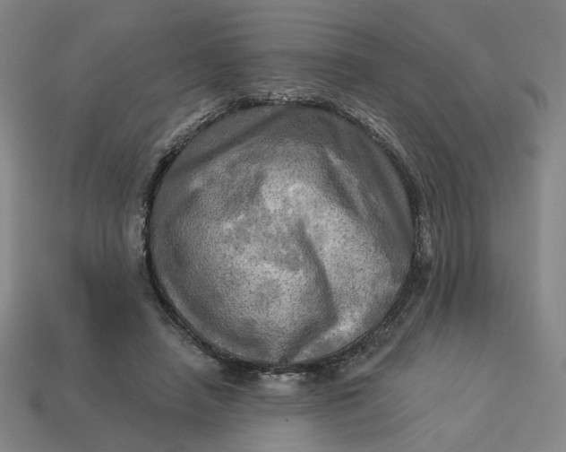 X0000113340450200910061001