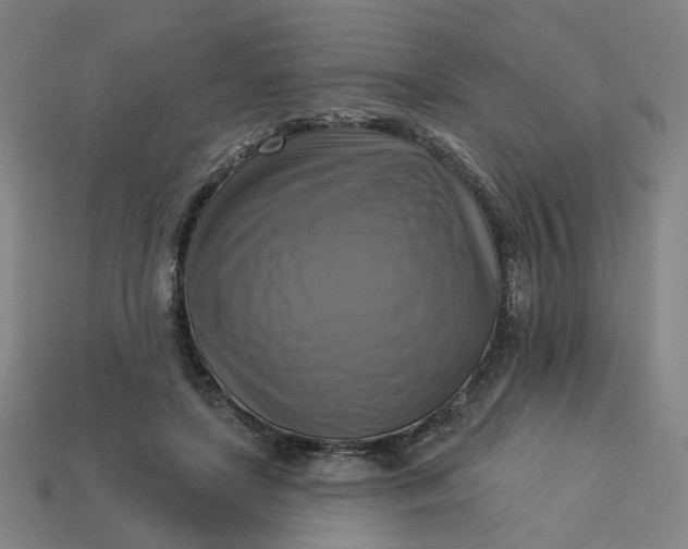 X0000113340451200910061001