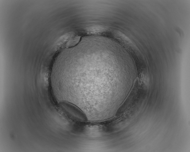 X0000113340452200910061001