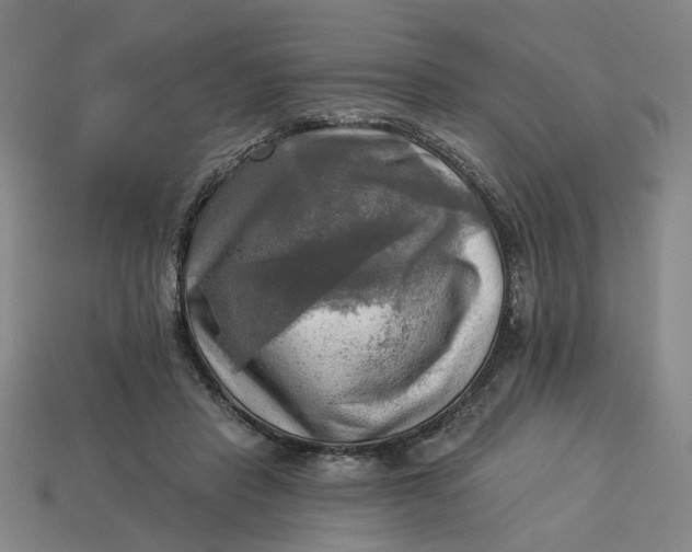 X0000113340453200910061001