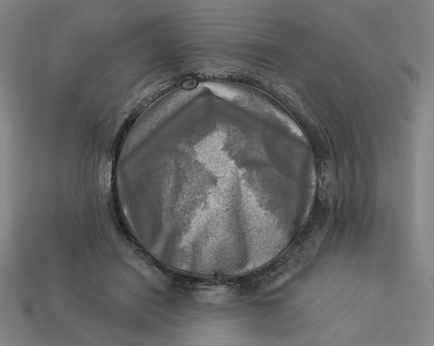 X0000113340454200910061001