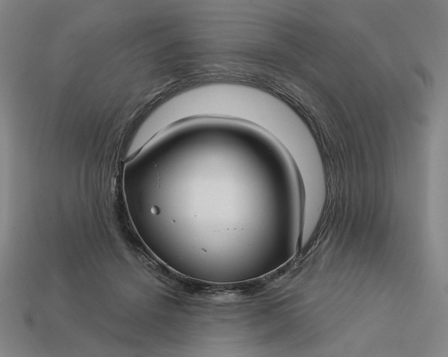 X0000113340456200910061001