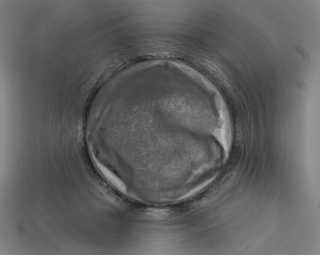 X0000113340457200910061001