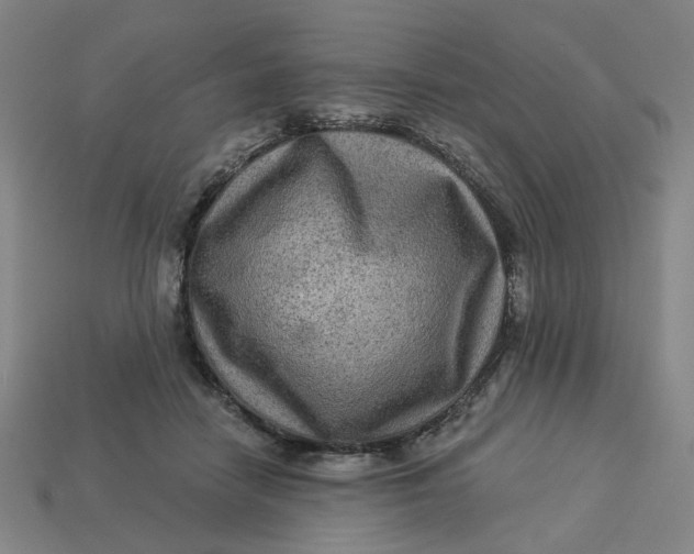 X0000113340458200910061001