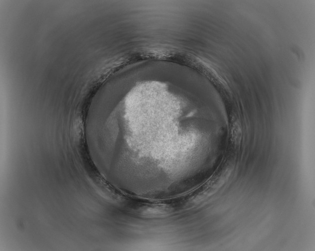 X0000113340459200910061001