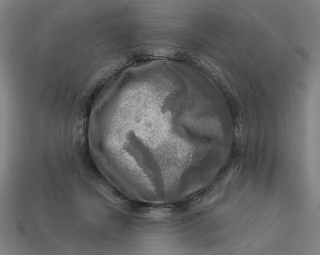 X0000113340462200910061001