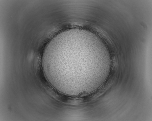 X0000113340463200910061001