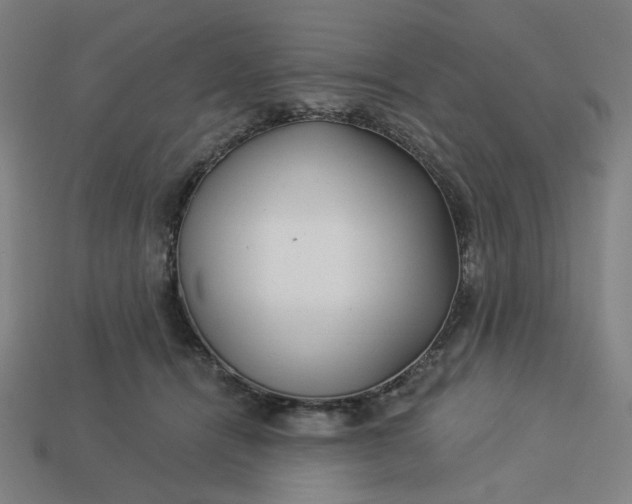 X0000113340464200910061001