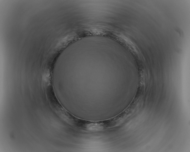 X0000113340465200910061001