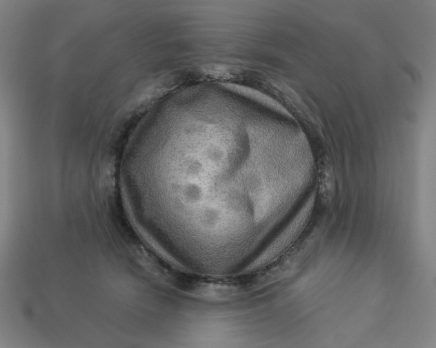 X0000113340466200910061001