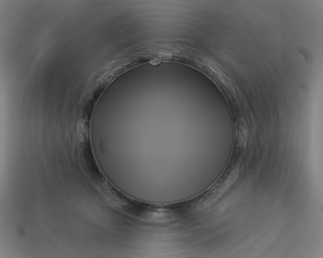 X0000113340467200910061001