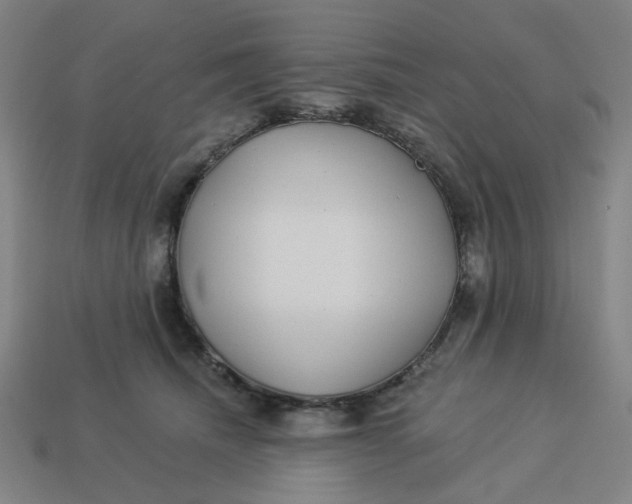 X0000113340468200910061001