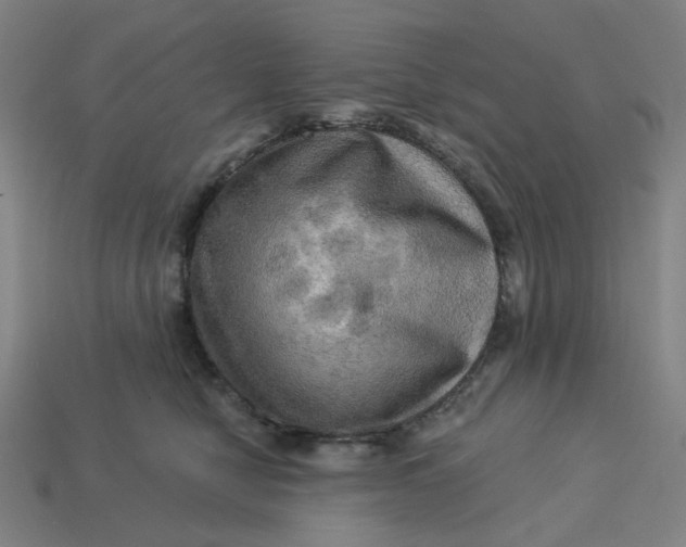 X0000113340470200910061001