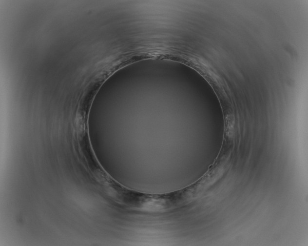 X0000113340471200910061001