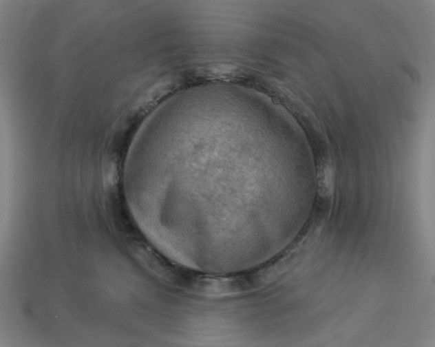 X0000113340472200910061001