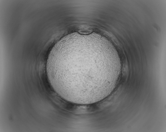 X0000113340473200910061001