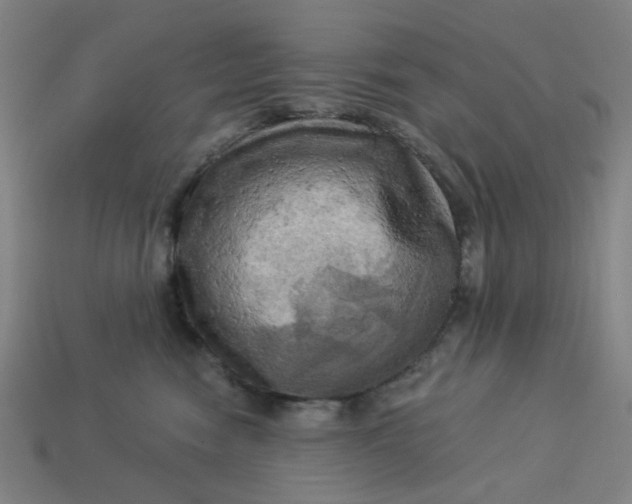 X0000113340474200910061001