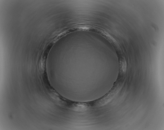 X0000113340475200910061002