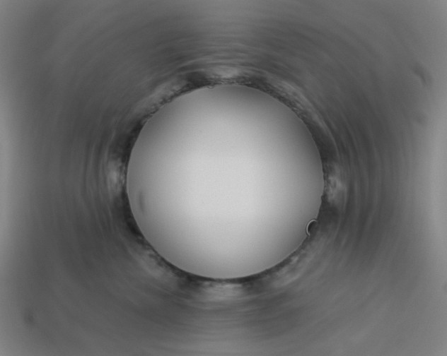 X0000113340476200910061002