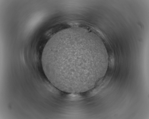 X0000113340477200910061002