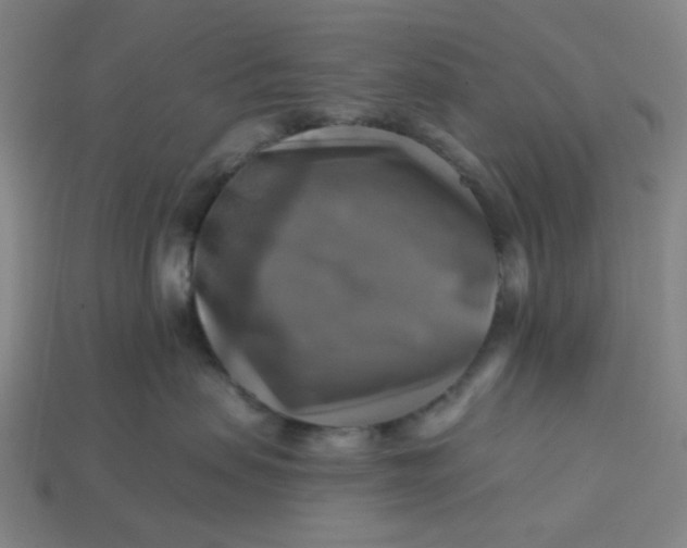 X0000113340479200910061002