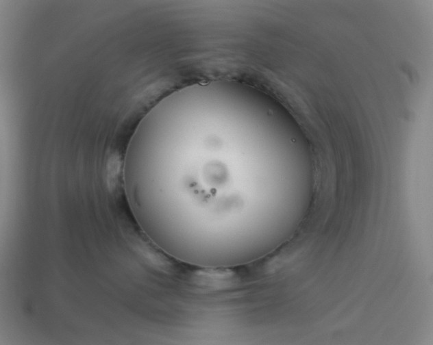 X0000113340480200910061002