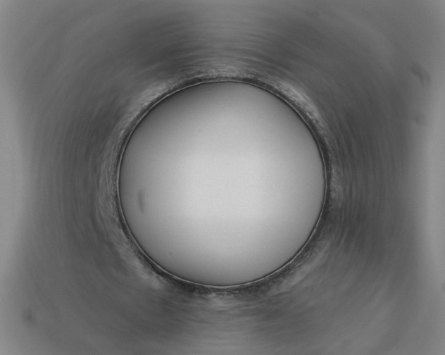 X0000113340481200910061001