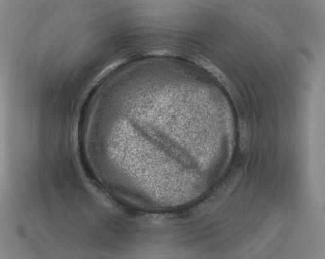 X0000113340482200910061001