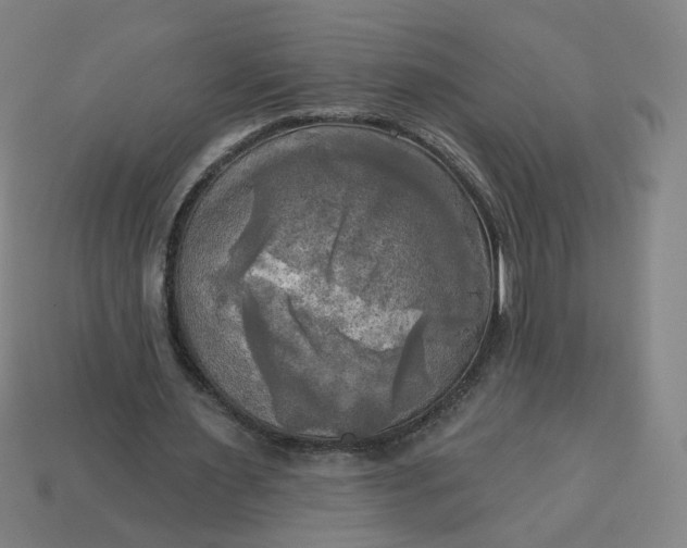 X0000113340483200910061001