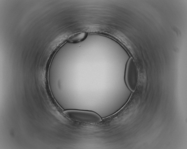 X0000113340485200910061001