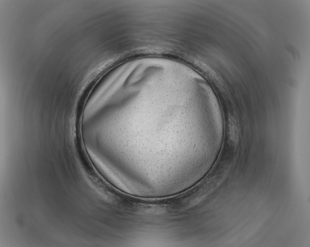 X0000113340486200910061001