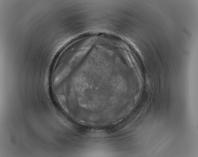 X0000113340487200910061001