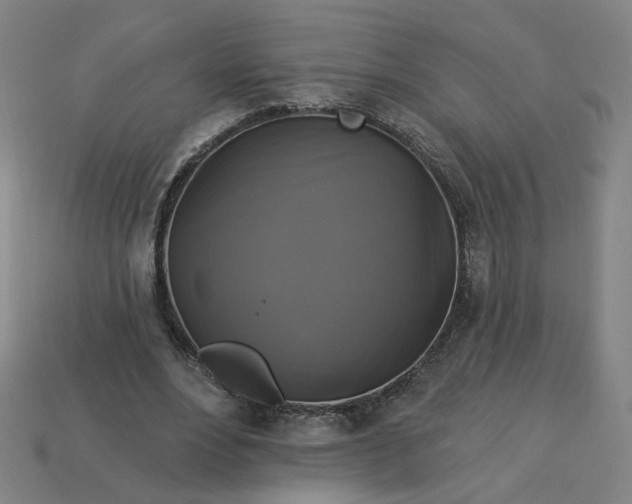 X0000113340488200910061001