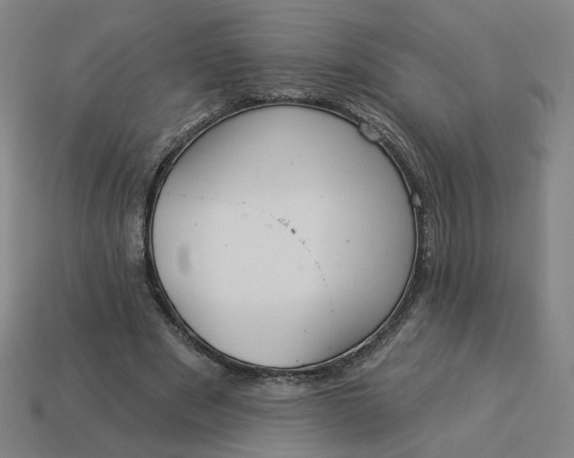 X0000113340489200910061001