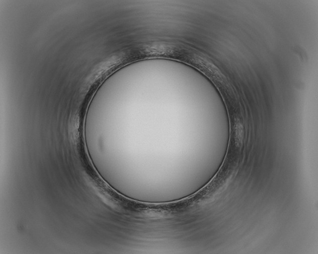 X0000113340490200910061001