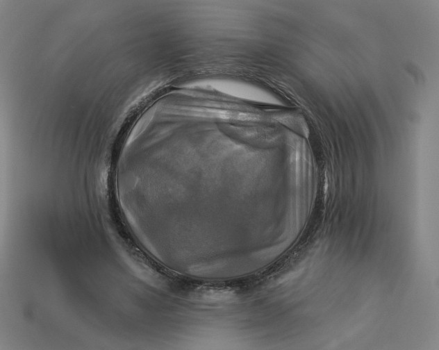 X0000113340491200910061001