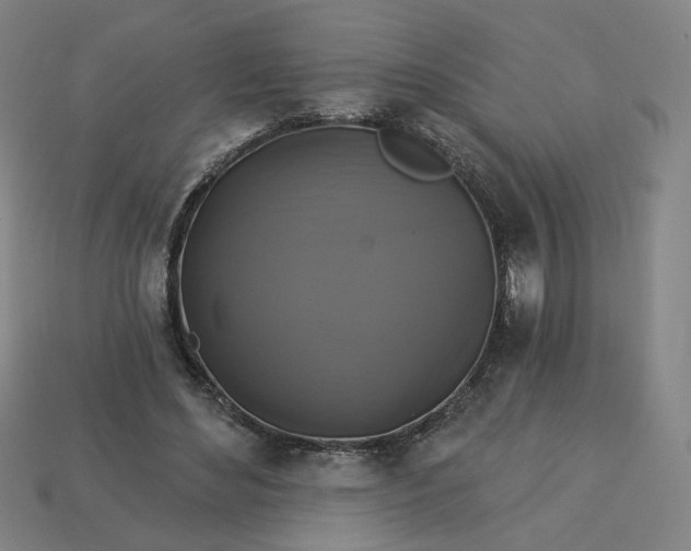 X0000113340492200910061001