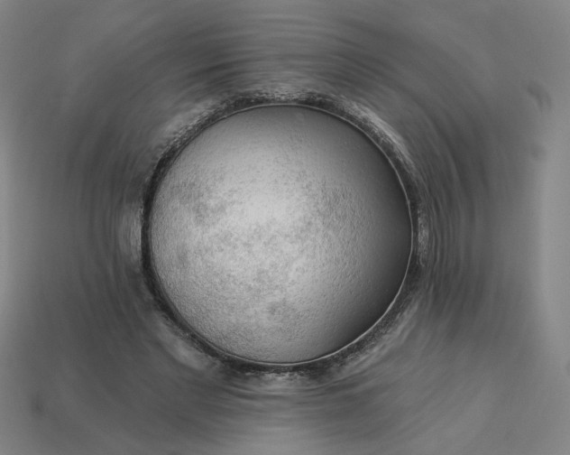 X0000113340493200910061001