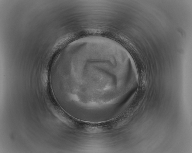 X0000113340494200910061001