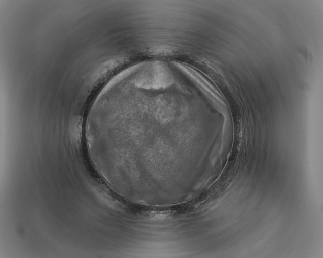 X0000113340495200910061001