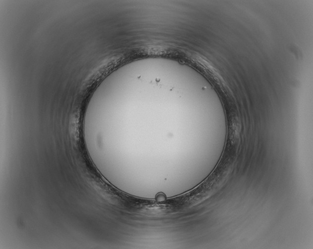 X0000113340497200910061001