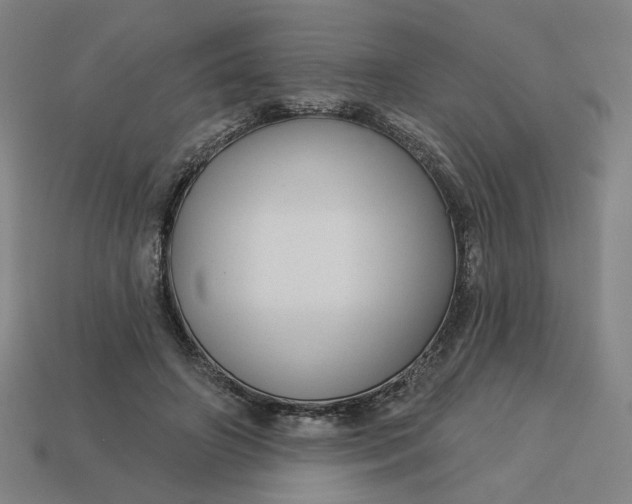 X0000113340498200910061001